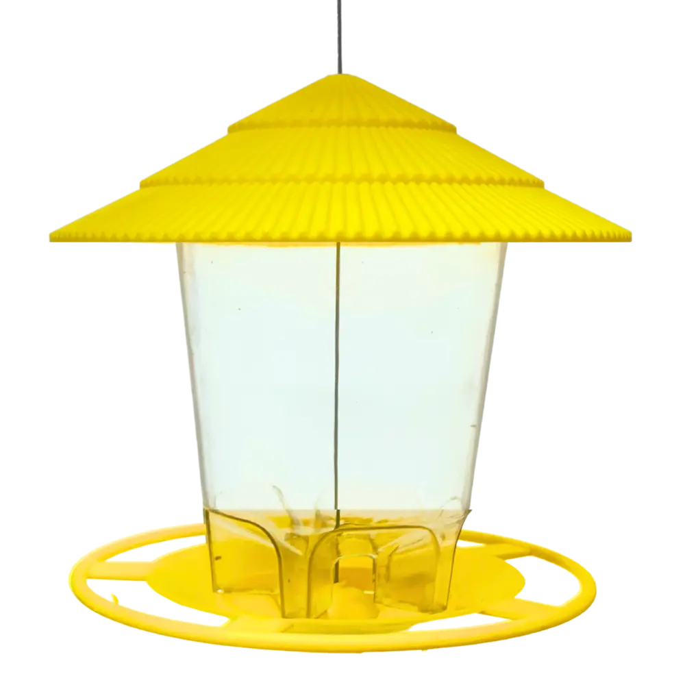 Untitled design(25).webp