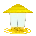 Untitled design(25).webp