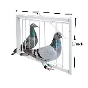 3.webp