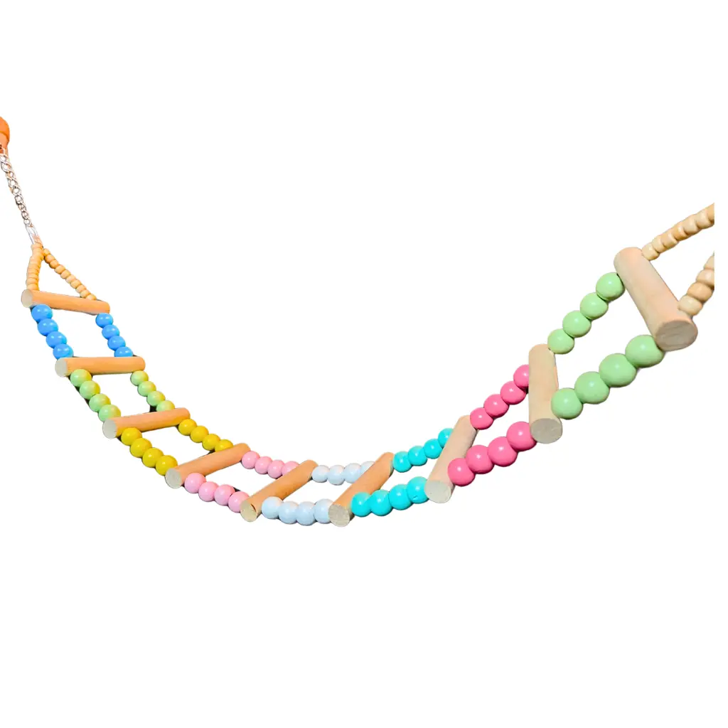 Untitled design (10).webp