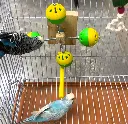 Rotating Toy.webp