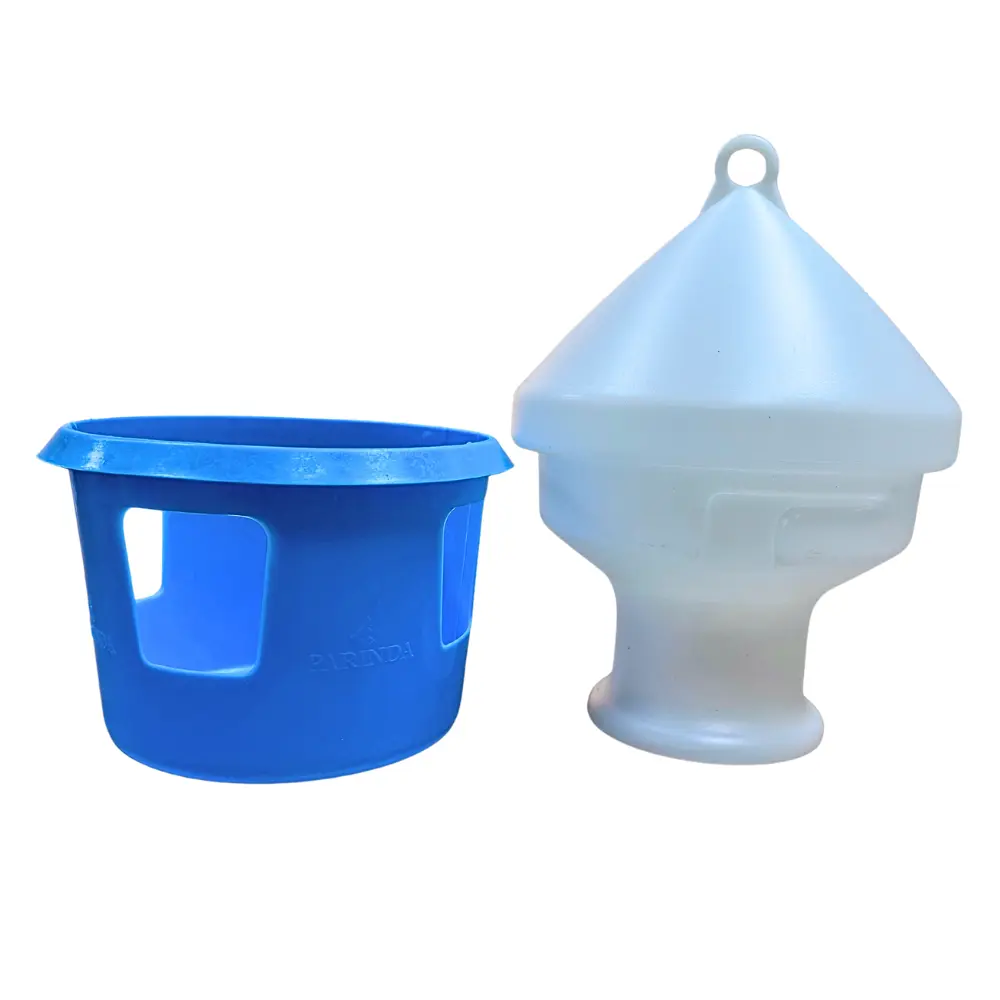 Untitled design(21).webp