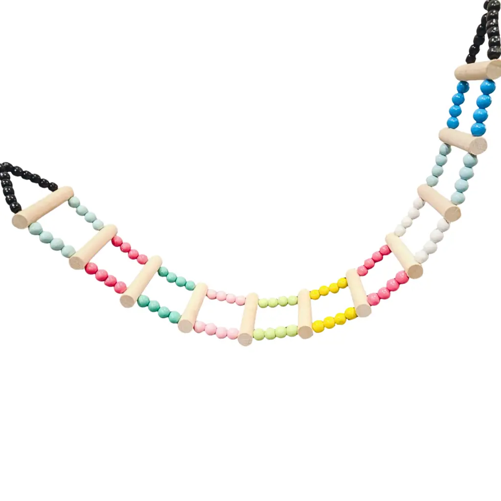 Extra Large Swing (2).webp