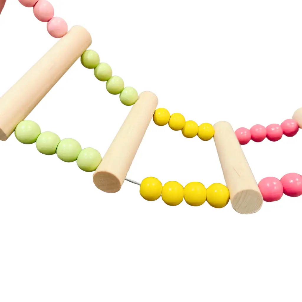 Extra Large Swing (3).webp