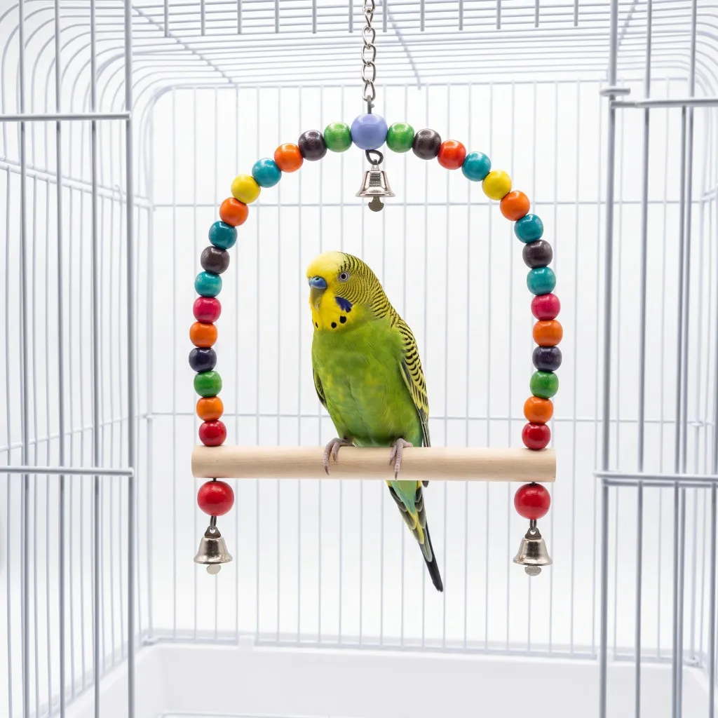 D Swing.webp