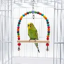 D Swing.webp