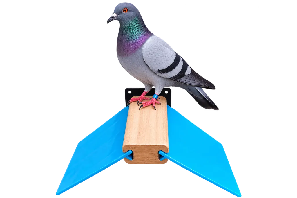 ChatGPT Image Aug 21, 2026, 10_50_13 PM.webp