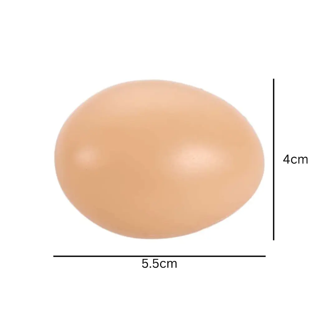 5.5cm.webp