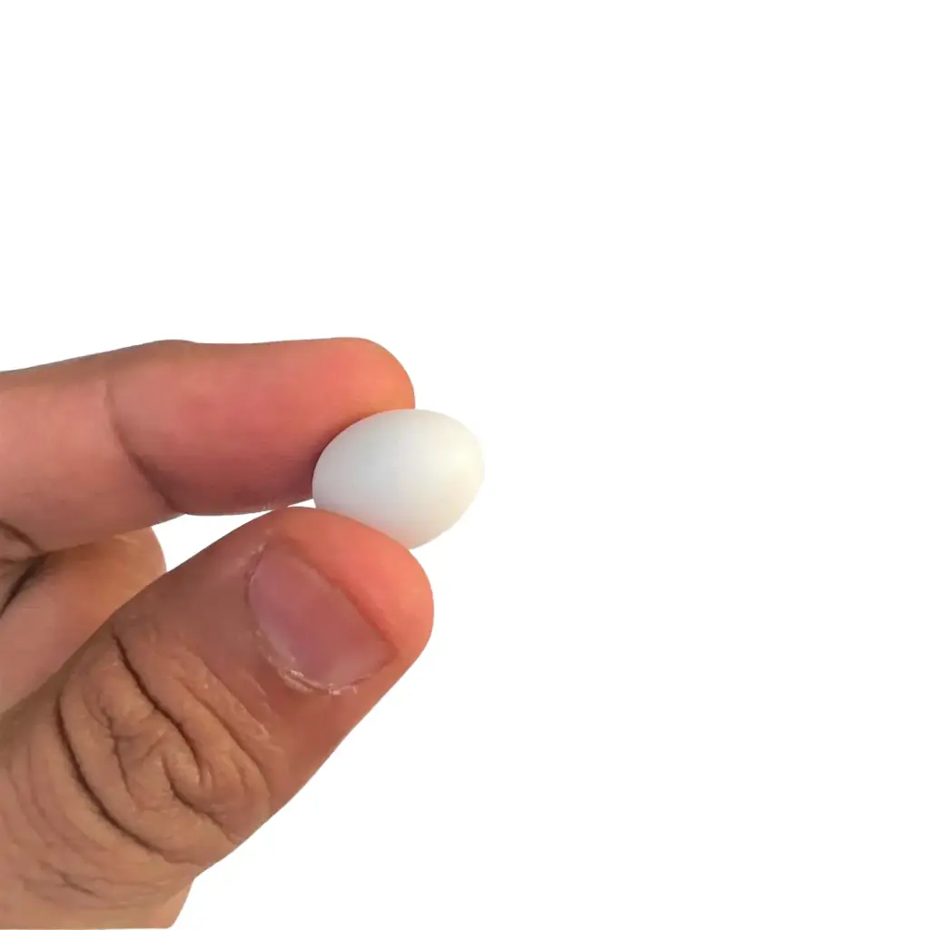 Dummy Eggs-Finches