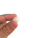 Dummy Eggs-Finches