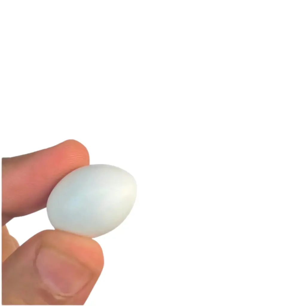 Dummy Eggs-Love Birds