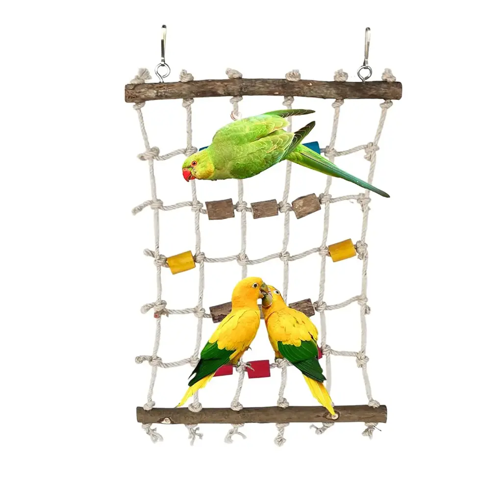 Bird Web Toy
