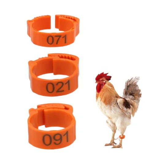 Poultry Adjustable-Rings (Yellow)