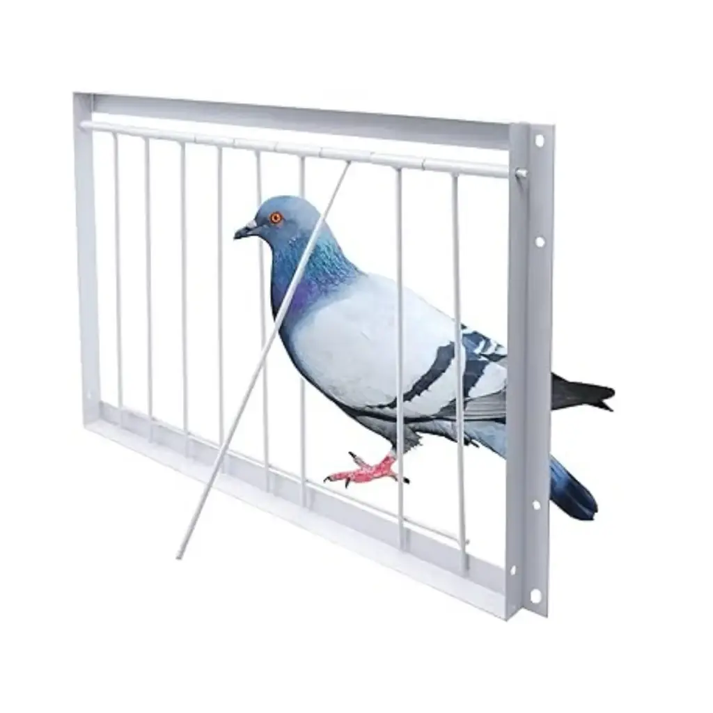 Trap Door