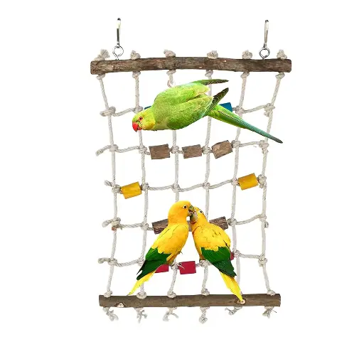 Bird Web Toy